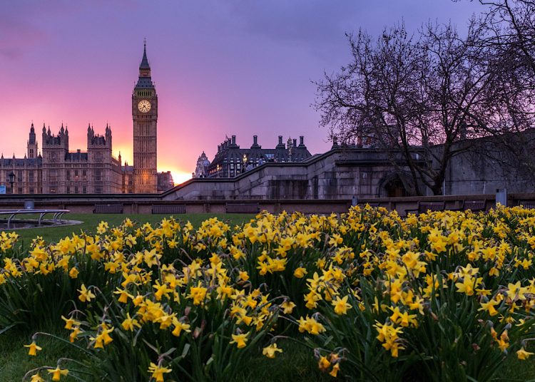 Westminster Spring evening