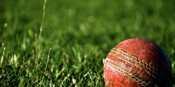 Cricket ball in grass