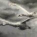 Flying geese, art by Plebo