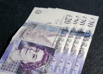 £20 notes: universal basic income (UBI)