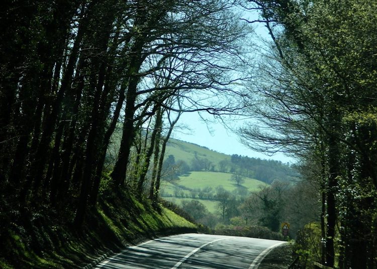 Wales Green Party: a more sustainable road to a better Wales
